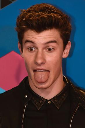Shawn Mendes na MTV EMA 2016