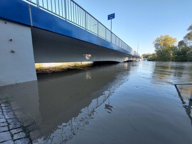 Sytuacja powodziowa w Głogowie i Głuchołazach