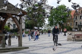 Znane miejsca w świętokrzyskim na planie Ojca Mateusza