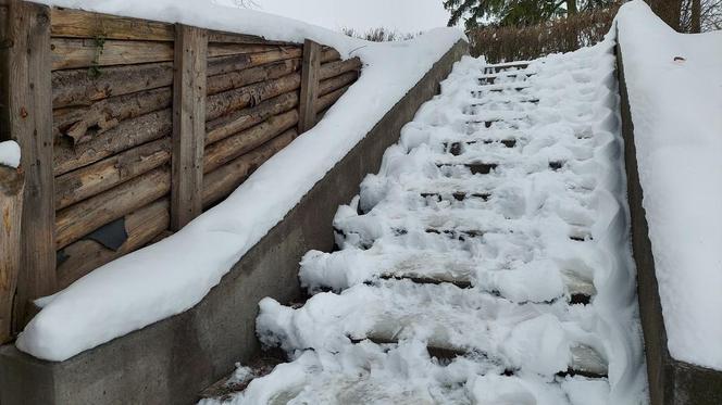 Zamojski Park pod śniegiem