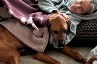 Polscy celebryci uwielbiają psy