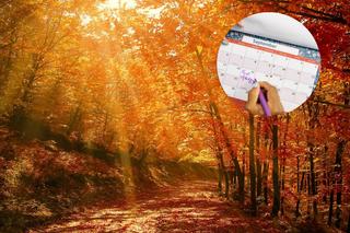 Początek jesieni 2023 - kiedy jest? Czym różni się jesień astronomiczna od kalendarzowej?