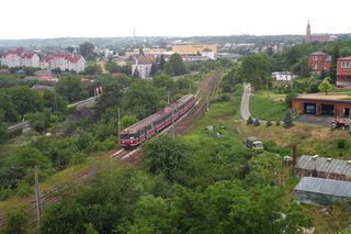 Dwikozy. Świętokrzyska wieś o ciekawej historii, związana z wybitnym pisarzem 