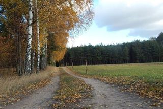Okolice wsi Sejwy na Podlasiu