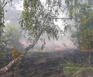 Warszawa. Pożar dawnej jednostki wojskowej