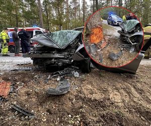 Kierowca uderzył oplem w drzewo, nie przeżył. Policja szuka sprawcy