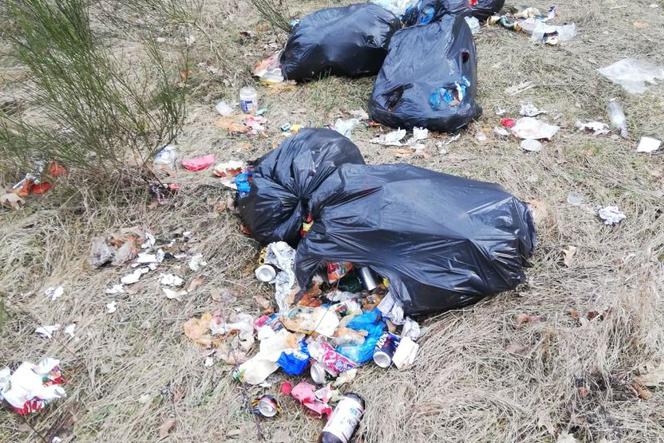 Gmina Pniewy: Nielegalne odpady w lesie.