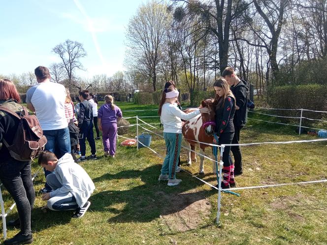 II Grudziądzki Piknik Naukowy