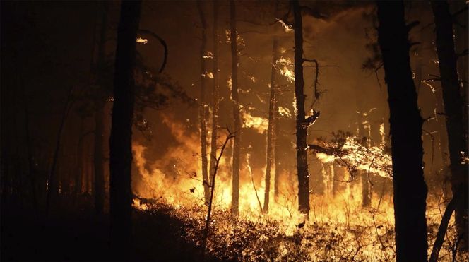 Pożary pustoszą Wschodnie Wybrzeże i Kalifornię. Jedna ofiara