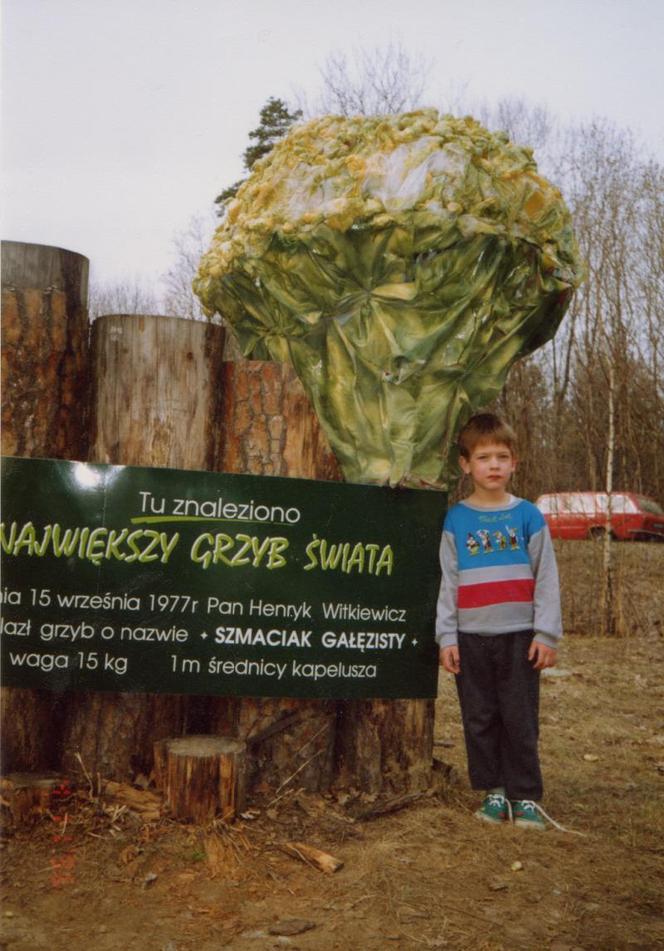 Największy grzyb świata z Piotrkowic