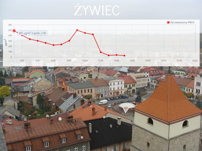 Żywiec