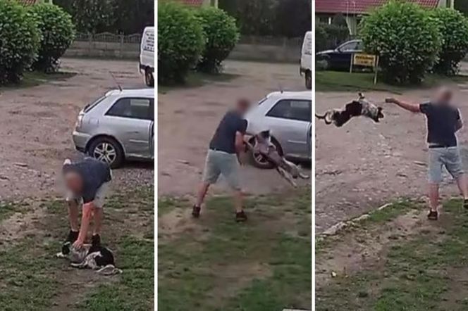 Złapał psa i rzucił nim o ziemię. Wstrząsające nagranie obiegło sieć