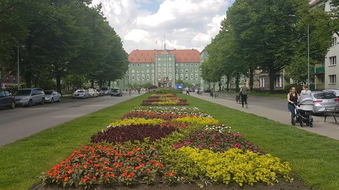 Szczecin w kwiatach