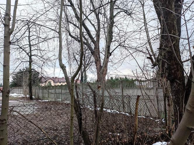 Zwłoki kobiety znalezione przy domu zakonnym. Siostry czuły fetor, szokujące zeznania sąsiadki