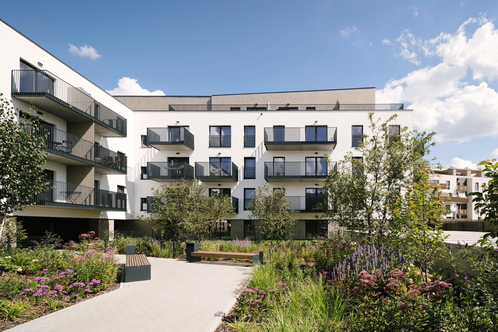 Elewacje bloku korytarzowego