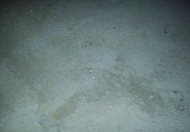 Uszkodzenia i sposoby naprawy betonowych posadzek przemysłowych