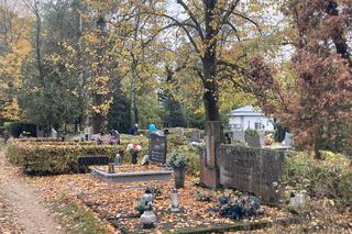 Poznańscy seniorzy mogą bezpłatnie skorzystać z oferty czyszczenia grobów bliskich - to idealna okazja przed Wszystkimi Świętymi!