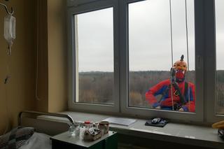 Katowice: Spiderman i Superman myją okna w szpitalu [ ZDJĘCIA, WIDEO]