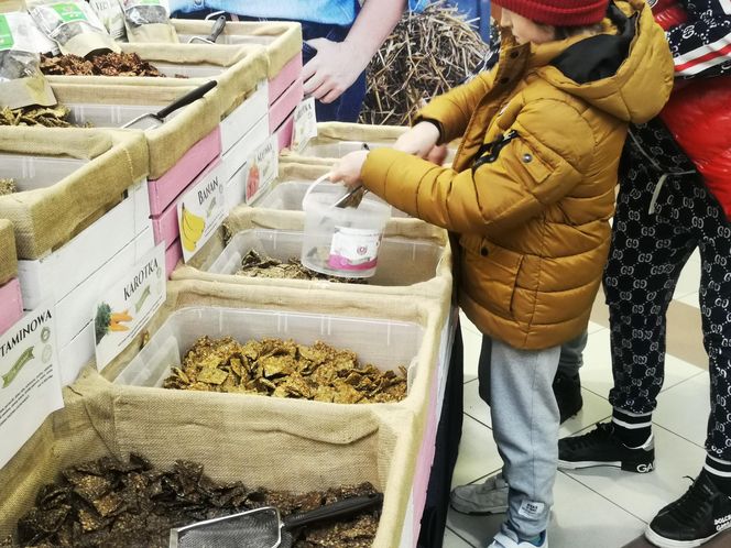 Cavaliada na Torwarze 2025