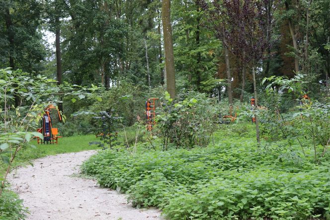 Zabytkowy park pod Lubawą zmienił się nie do poznania. Teraz wygląda jak z bajki