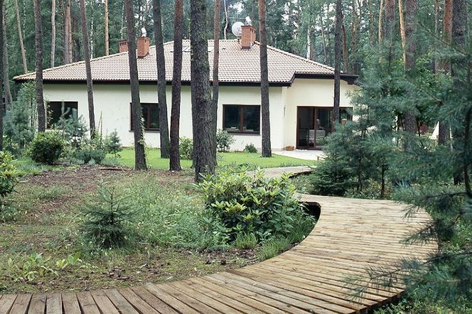 Drewniana ścieżka w ogrodzie