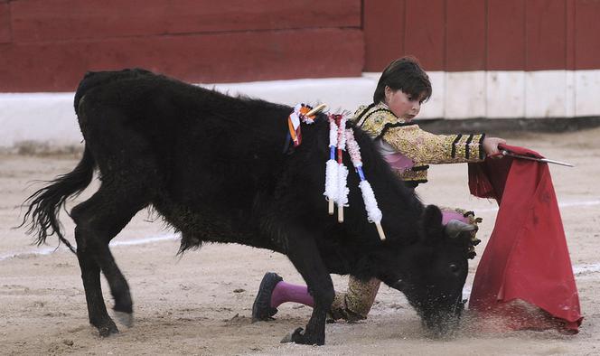 Michelito torreador z Meksyku 