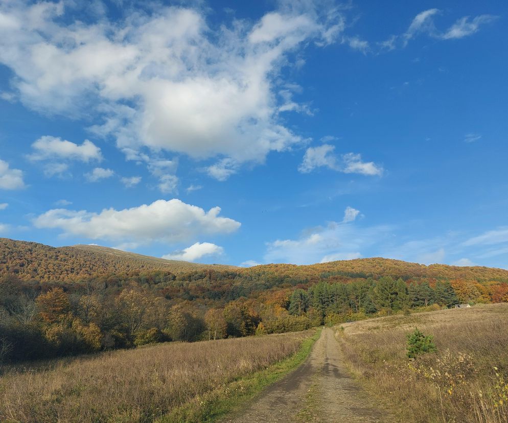 Bieszczady jesienią [GALERIA]