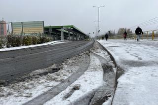 Pierwszy śnieg w Poznaniu w 2023 roku! Zobaczcie, jak wygląda Poznań w niedzielę 19 listopada