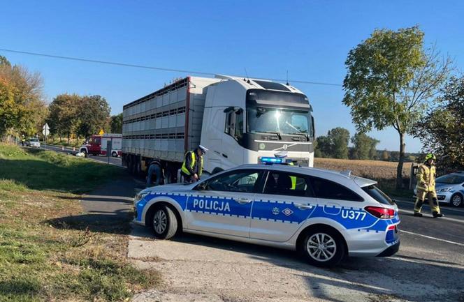 Śmiertelny wypadek pod Gnieznem! Kobieta zginęła pod kołami ciężarówki