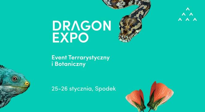 Dragon Expo | Event Terrarystyczny i Botaniczny - weekend 25-26 stycznia