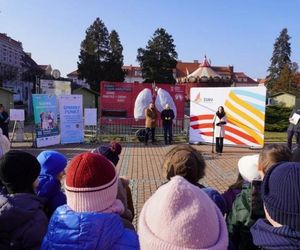 Dwumetrowe płuca w samym sercu Żor. Pokazują jak zanieczyszczenia osadzają się na powierzchni modelu