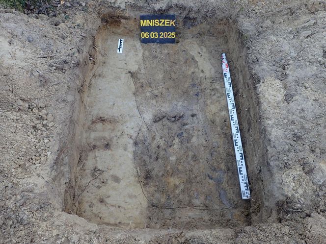 Ludzkie szczątki przy torach pod Świeciem! Tajemnica grobu w końcu wyszła na jaw