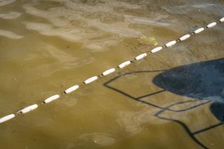  Mikołajki. Zakaz kąpieli na plaży miejskiej. W jeziorze pojawiły się sinice [ZDJĘCIA]