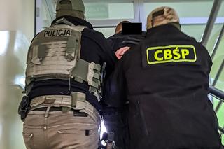 Nalot CBŚP na agencje towarzyskie w Tarnowie. Członkowie gangu zbili kokosy na nielegalnym biznesie