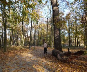 Pałac w Baranowicach jesienią