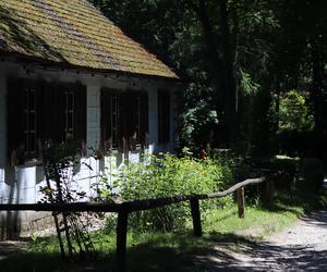 Ciepło i leniwie. Tak wygląda czerwcowe popołudnie w lubelskim skansenie. Zobacz