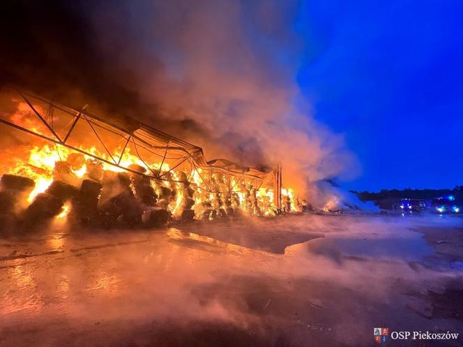 Pożar składowiska odpadów w Promniku (gm. Strawczyn)