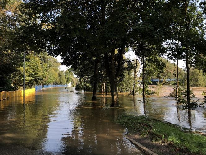 Powódź w gminie Szprotawa 