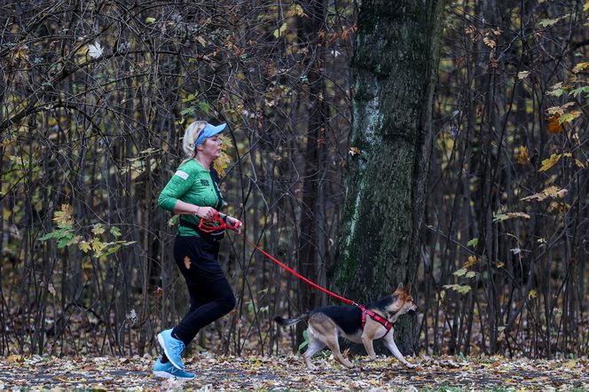 Sobotni parkrun w Katowicach przyciągnął tłumy. W tym biegu nigdy nie będziesz ostatni! GALERIA