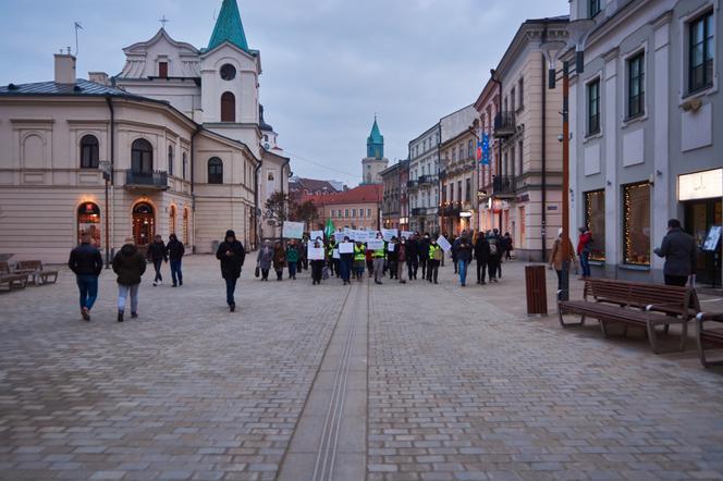 Przeciwko zabudowie Górek Czechowskich. „Strajk dla Ziemi” w centrum Lublina