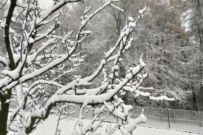 Meteorolog Damian Dąbrowski: „Zima dopiero się rozkręca”
