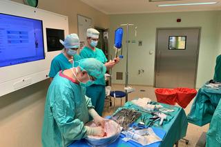 Magda oddała nerkę ukochanemu Łukaszowi. Małżeństwo przyjechało do szczecińskiego szpitala aż z Warszawy