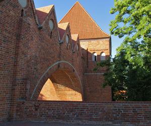 Schloss Thorn, zamek w Toruniu