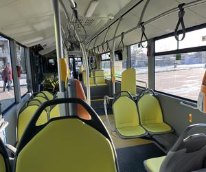 Katarzynki 2023. Prezentacja autobusów w Poznaniu. Zabytkowe autobusy w Poznaniu