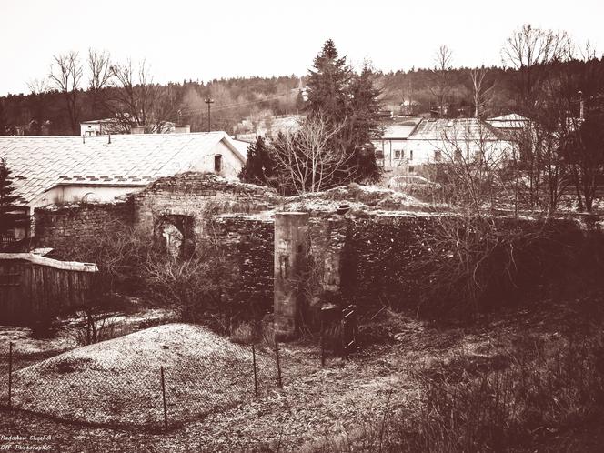 Fotografia jego pasja. Radek Chochół, starachowiczanin opowiada o swojej przygodzie z aparatem