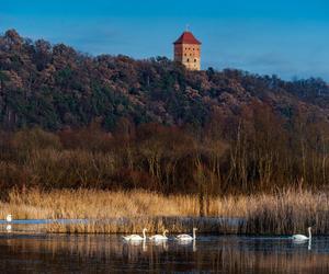 Nowa atrakcja turystyczna powstała w Małopolsce. Odbudowano część średniowiecznego zamku