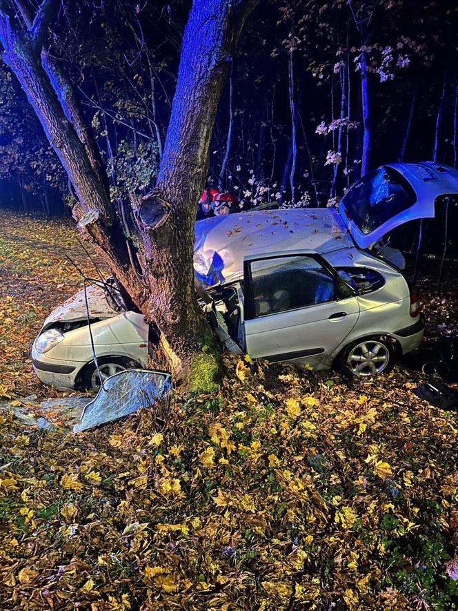 Poważny wypadek w Toruniu. Tak wyglądało auto po uderzeniu w drzewo