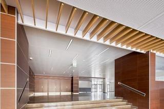 METAL Baffle Element