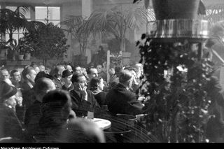 Adria. Występował tu tresowany koń, pisuardessy prasowały koszule w toaletach, grube ryby balowały z płotkami na obrotowym parkiecie