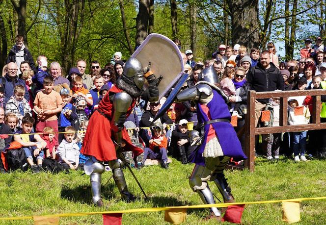 Turniej Rycerski na Zamku w Iłży. Dwa dni żywej lekcji historii 